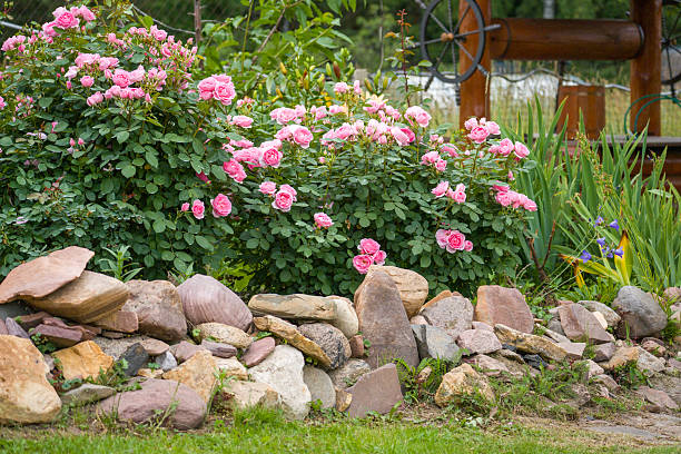 conception de jardin à Cannes