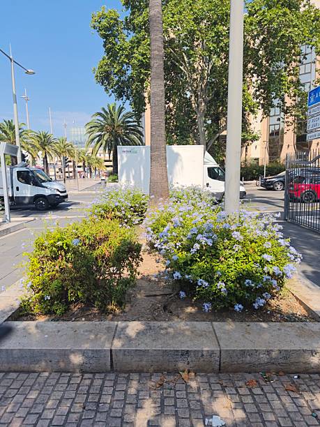 conception de jardin à Cannes