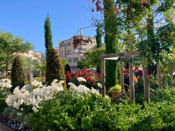 conception de jardin à Cannes