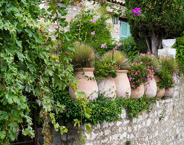 conception de jardin à Cannes